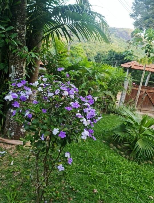 Villa Sitio Borges Petrópolis Esterno foto